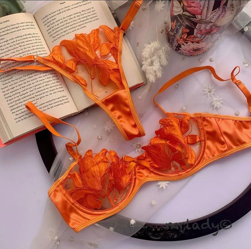 PAISLEY NET BRA SET V3 – mrlady